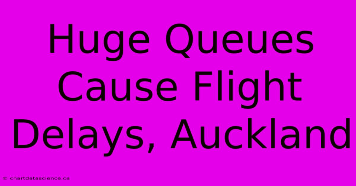 Huge Queues Cause Flight Delays, Auckland