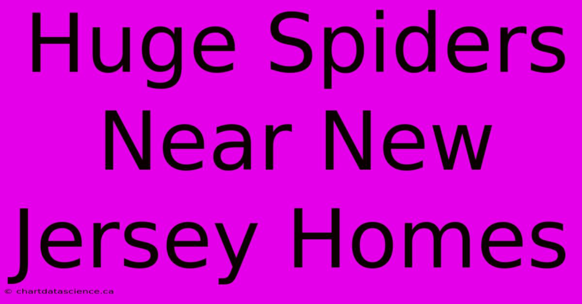 Huge Spiders Near New Jersey Homes