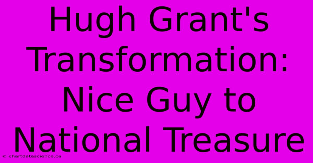 Hugh Grant's Transformation: Nice Guy To National Treasure