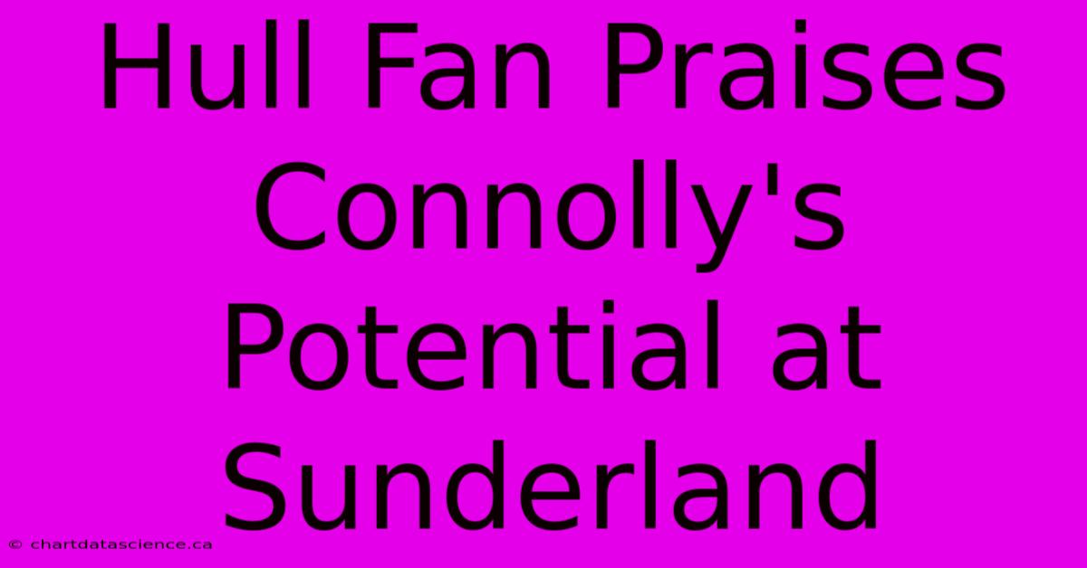 Hull Fan Praises Connolly's Potential At Sunderland 