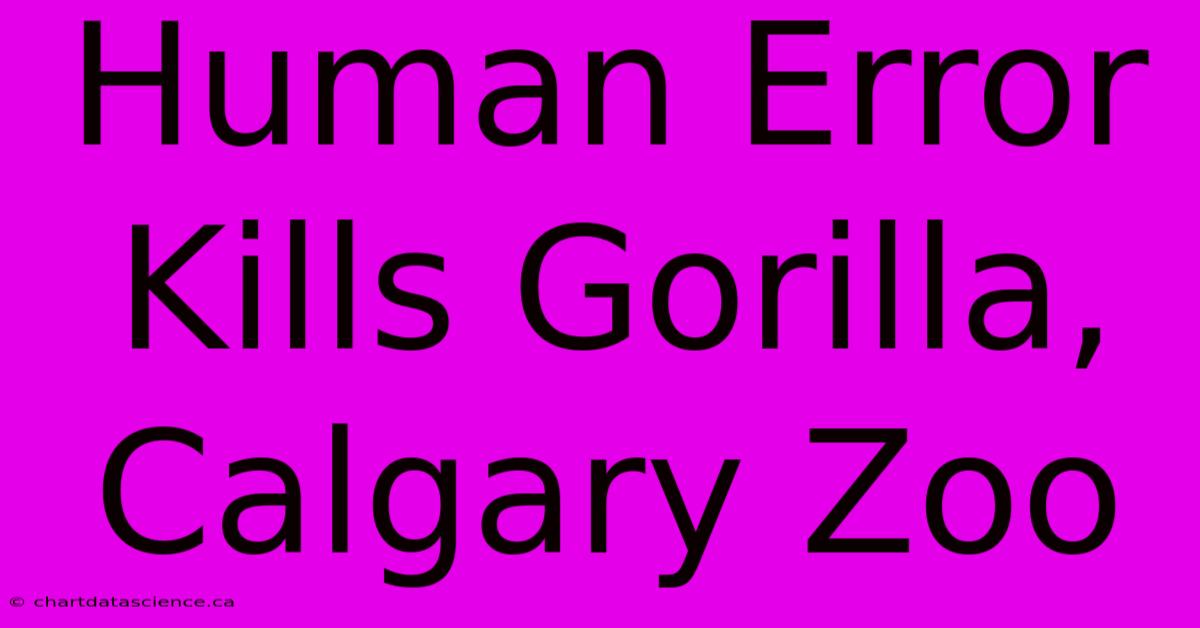 Human Error Kills Gorilla, Calgary Zoo