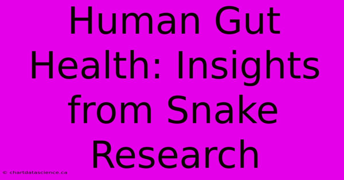 Human Gut Health: Insights From Snake Research 