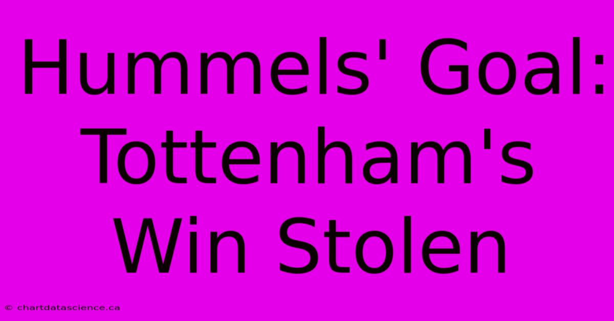 Hummels' Goal: Tottenham's Win Stolen