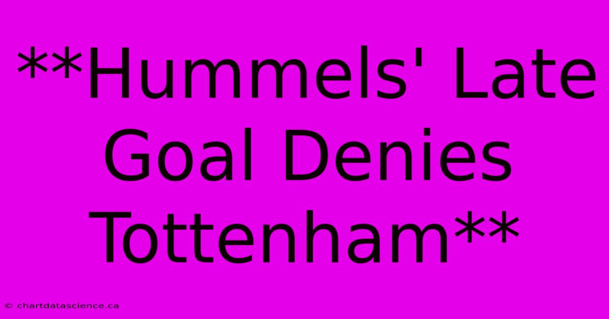 **Hummels' Late Goal Denies Tottenham**