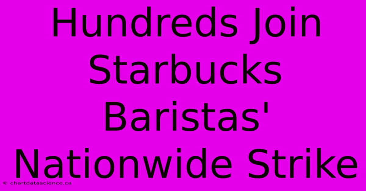 Hundreds Join Starbucks Baristas' Nationwide Strike