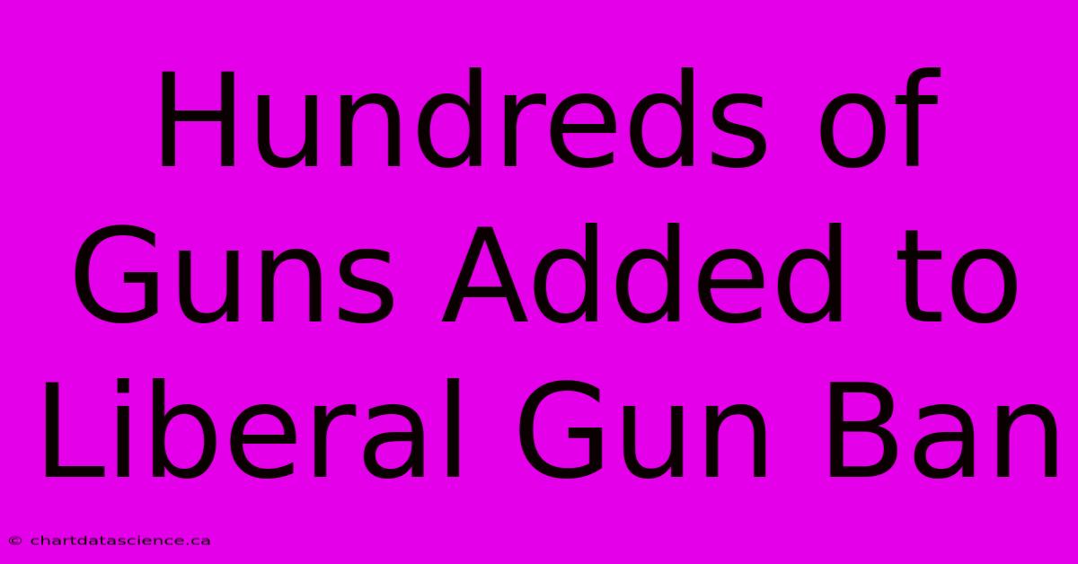 Hundreds Of Guns Added To Liberal Gun Ban