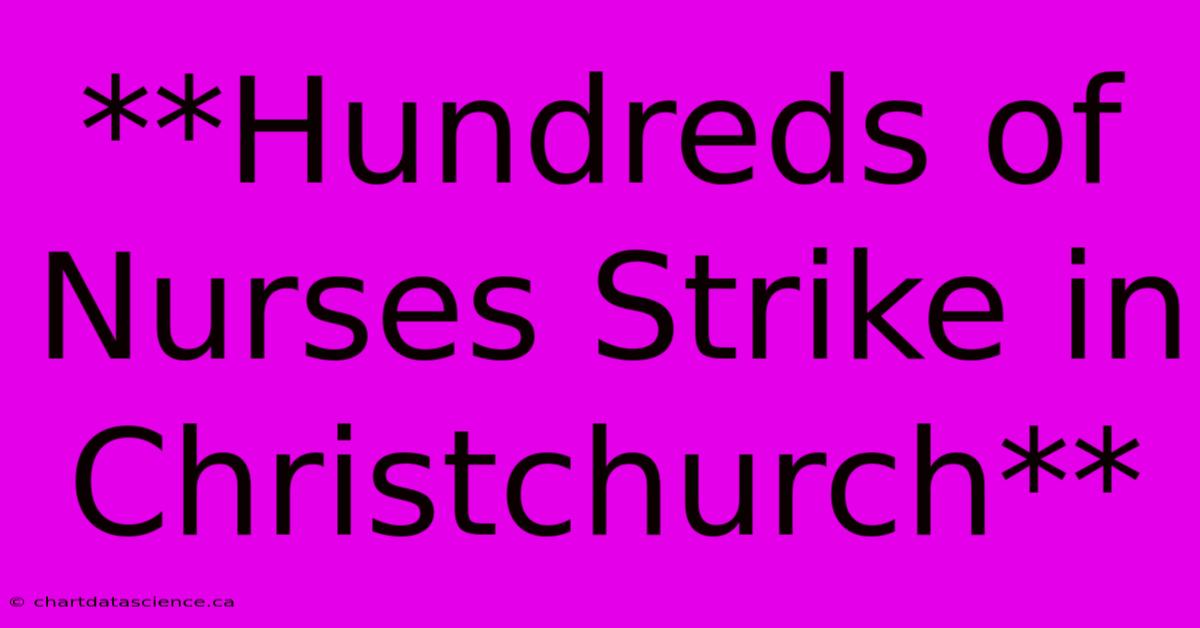 **Hundreds Of Nurses Strike In Christchurch**