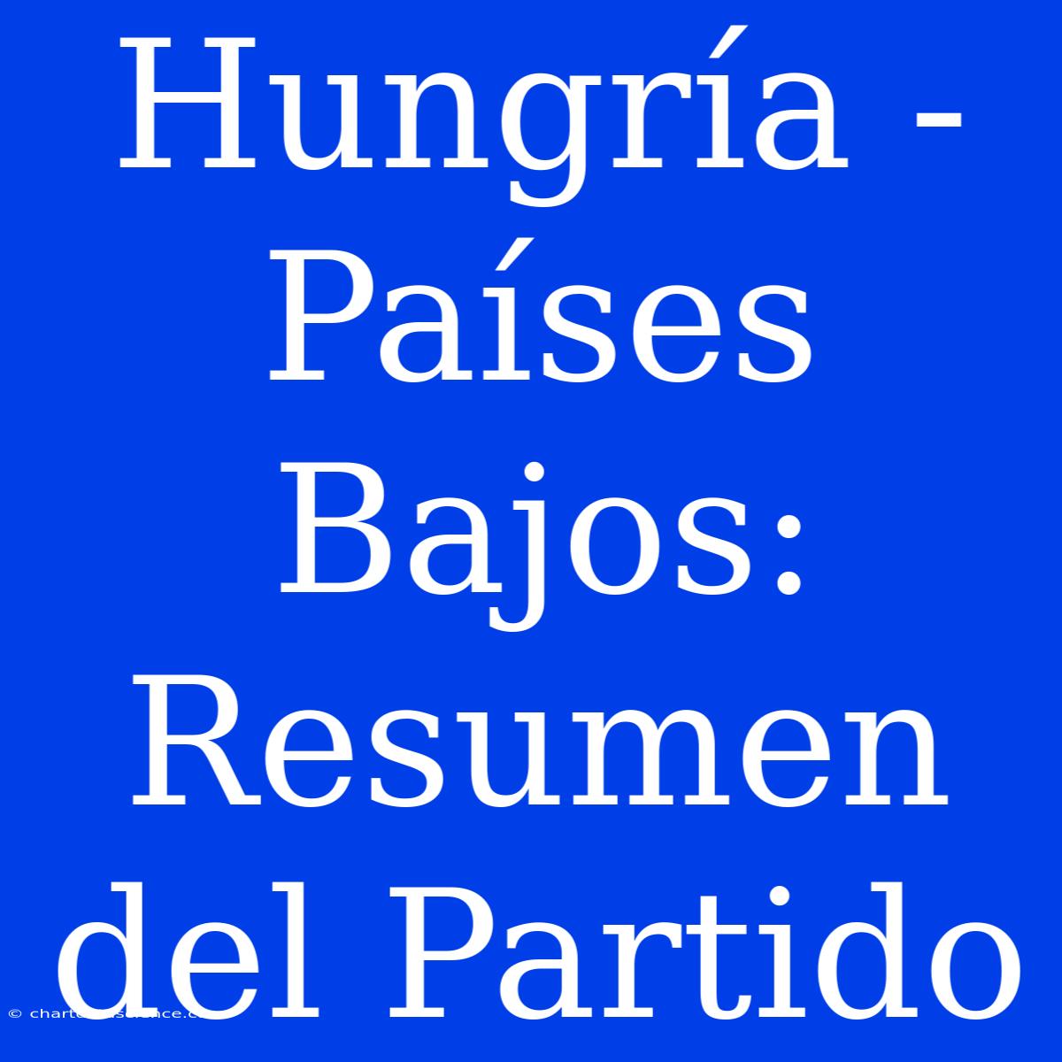 Hungría - Países Bajos: Resumen Del Partido