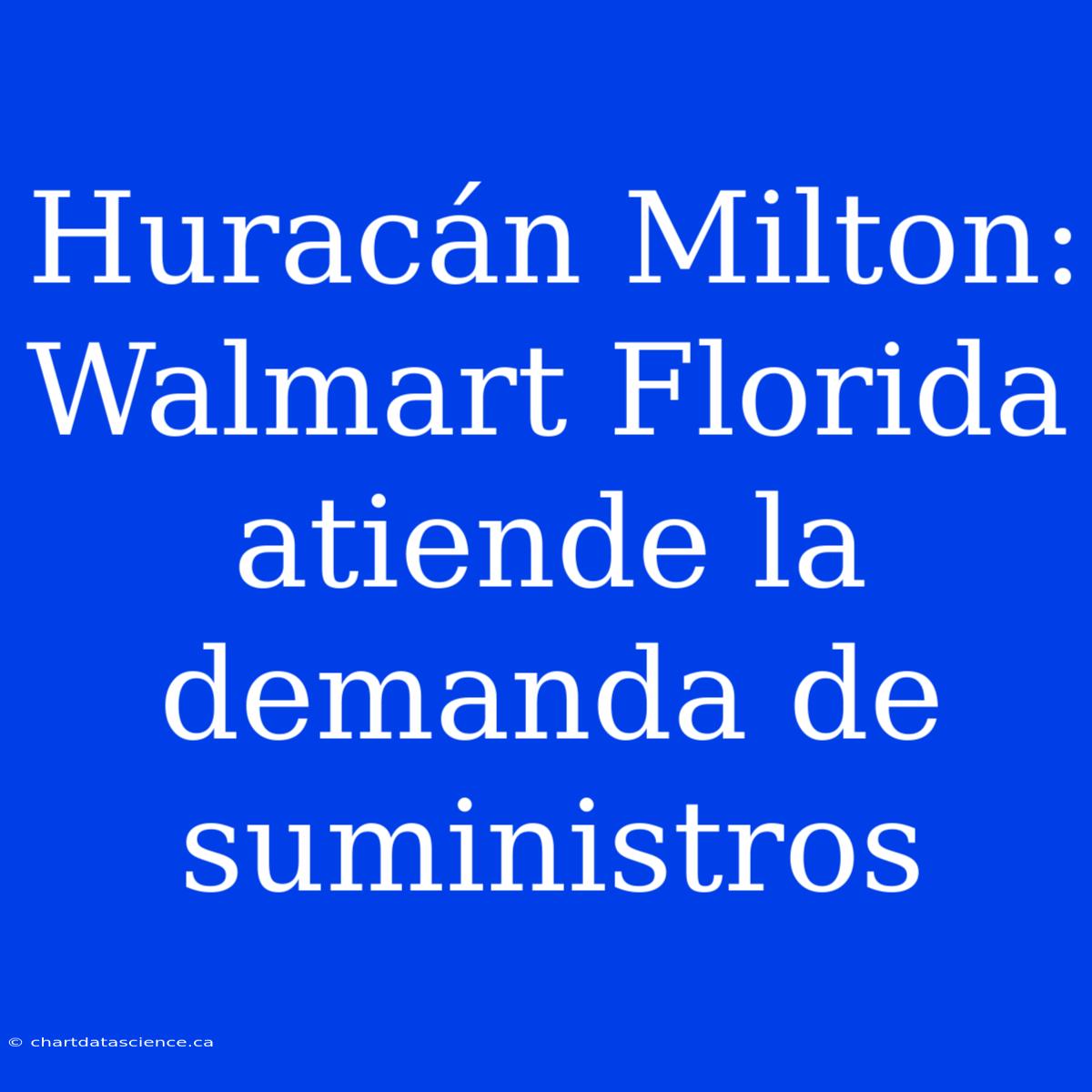 Huracán Milton: Walmart Florida Atiende La Demanda De Suministros