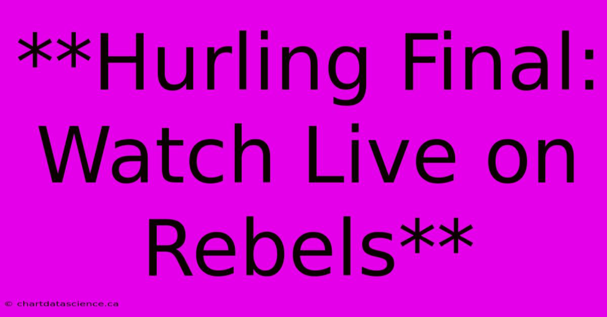 **Hurling Final: Watch Live On Rebels**