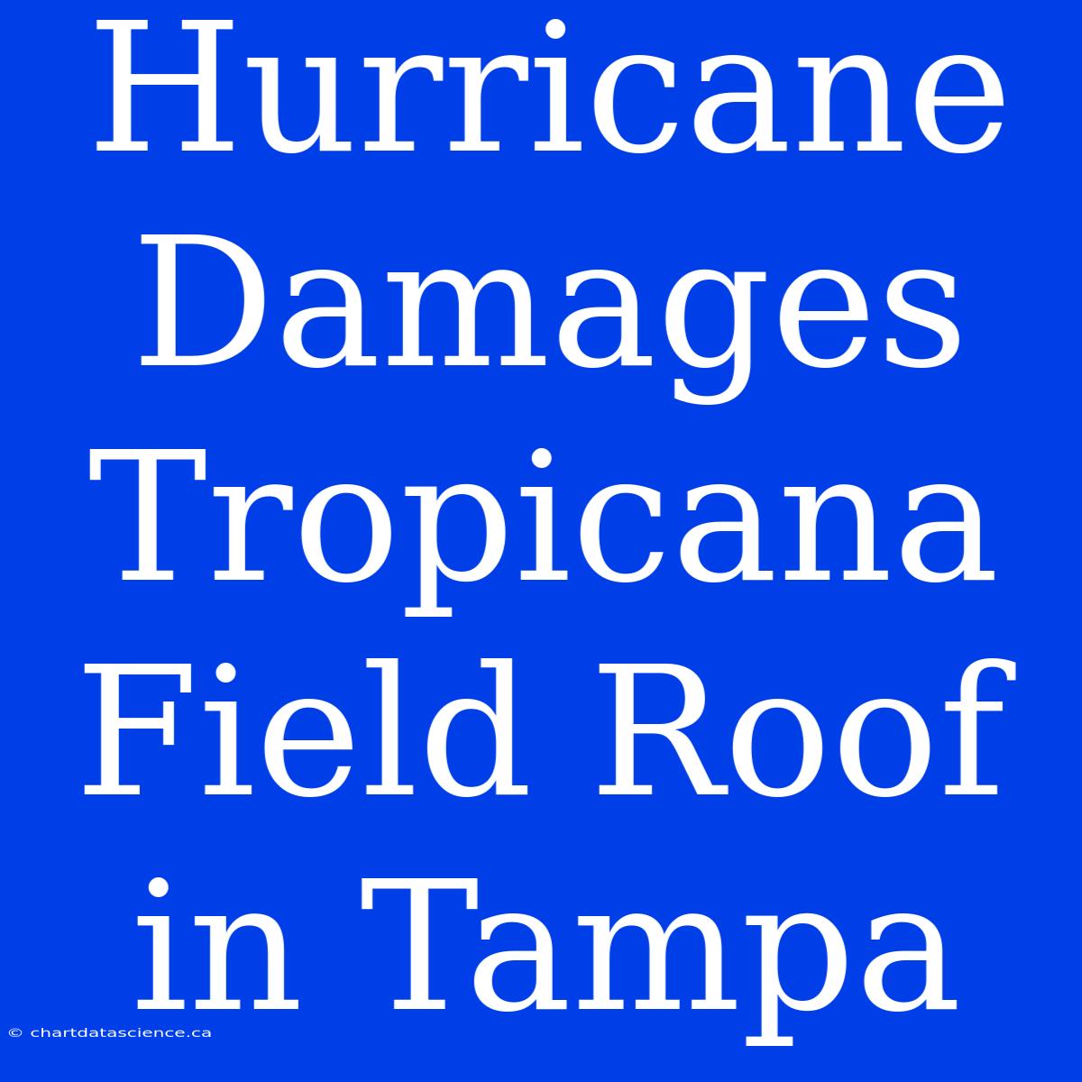 Hurricane Damages Tropicana Field Roof In Tampa