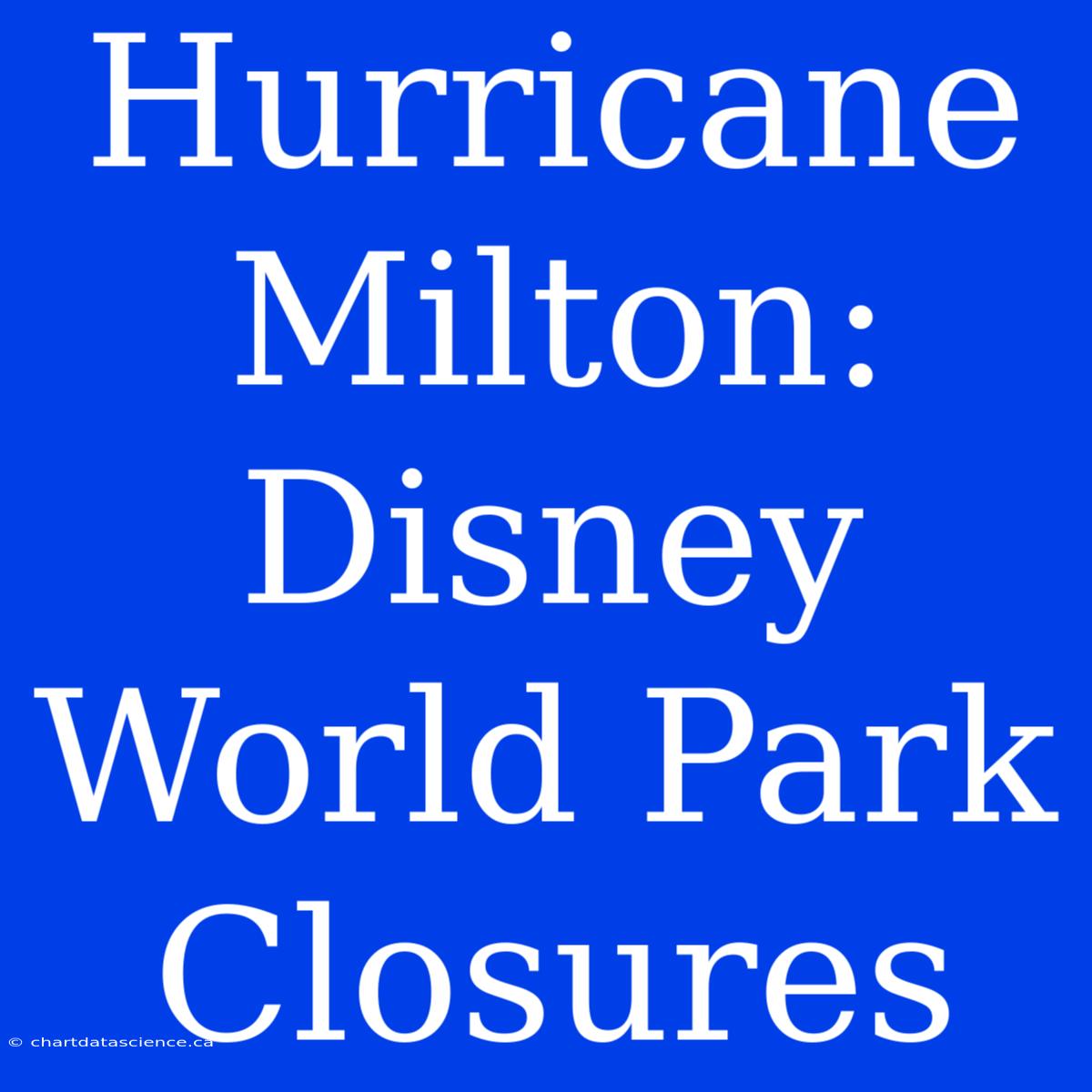 Hurricane Milton: Disney World Park Closures