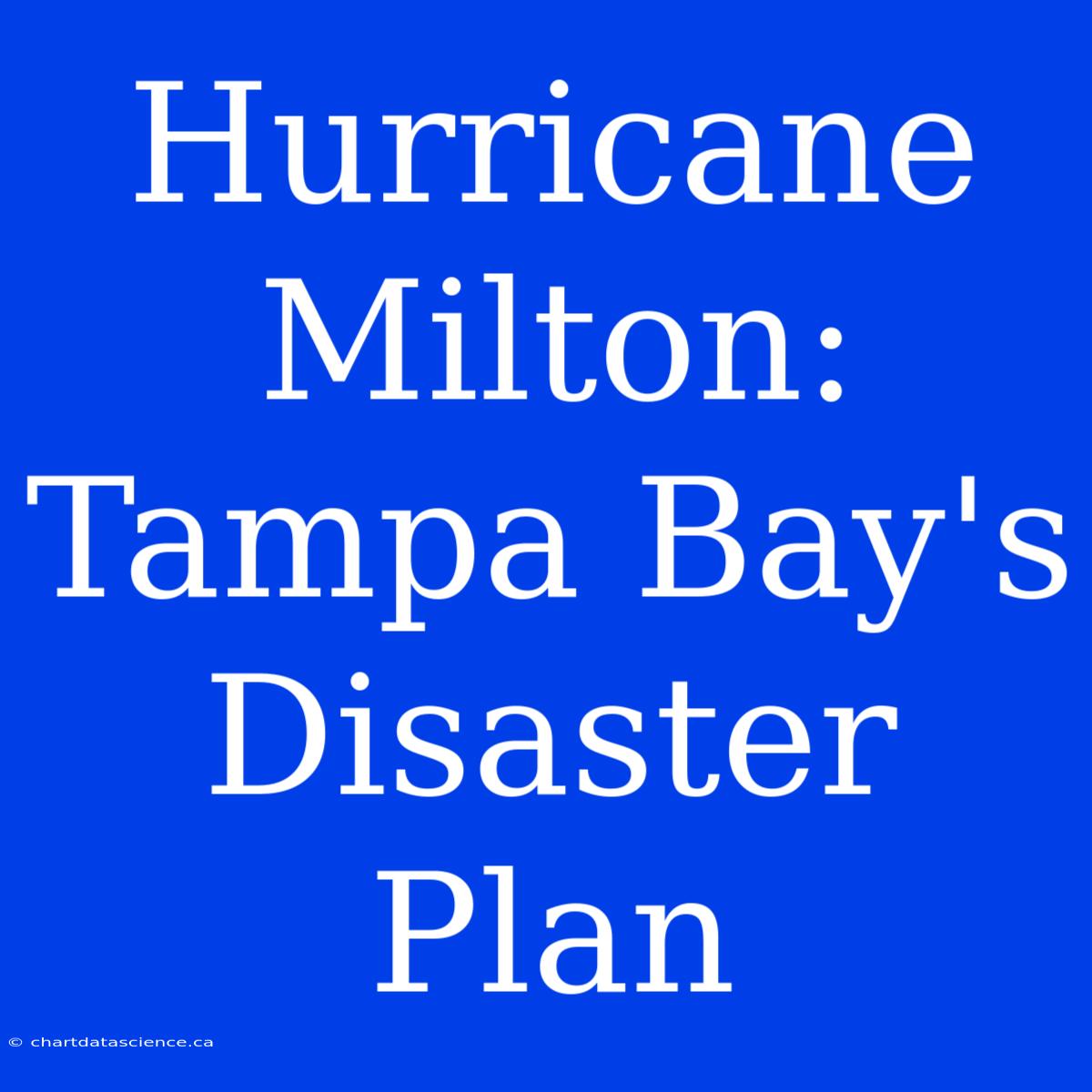 Hurricane Milton: Tampa Bay's Disaster Plan