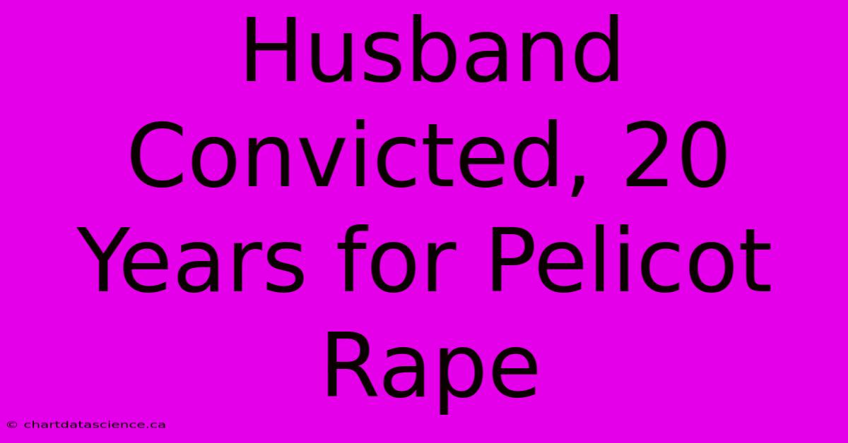 Husband Convicted, 20 Years For Pelicot Rape