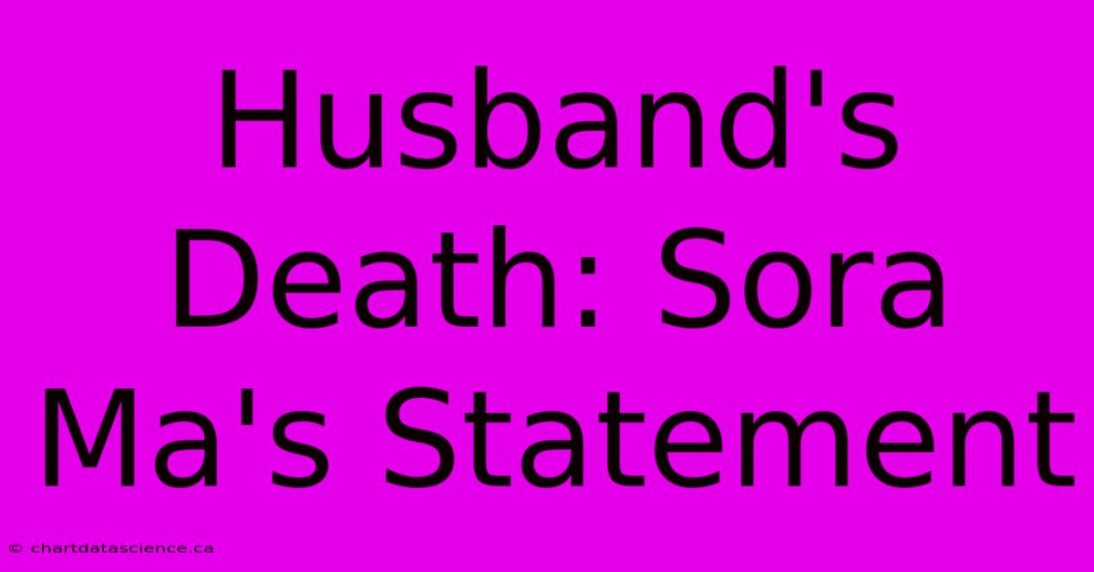 Husband's Death: Sora Ma's Statement