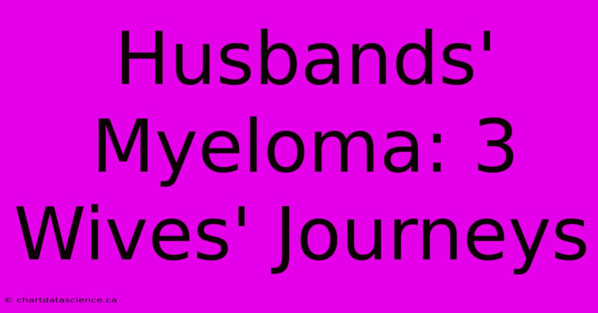 Husbands' Myeloma: 3 Wives' Journeys