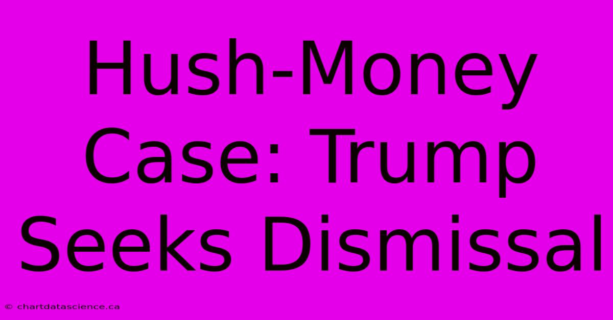 Hush-Money Case: Trump Seeks Dismissal