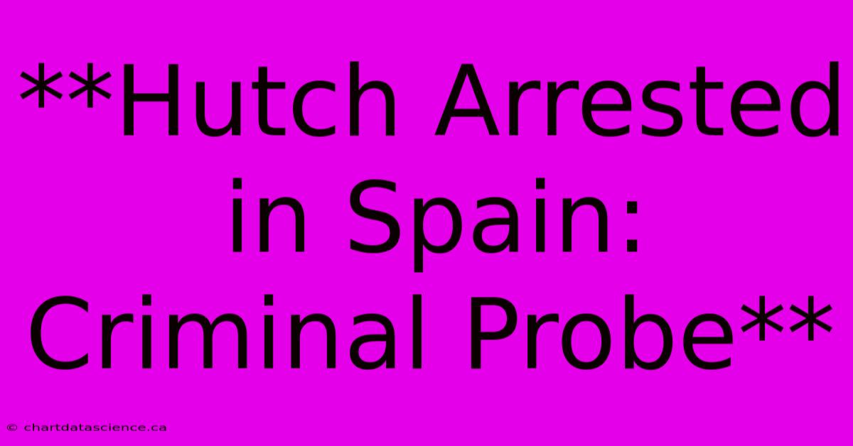 **Hutch Arrested In Spain: Criminal Probe**