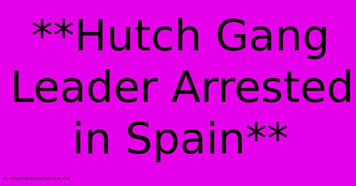 **Hutch Gang Leader Arrested In Spain**