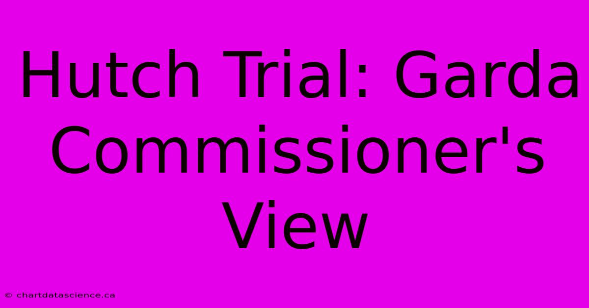 Hutch Trial: Garda Commissioner's View