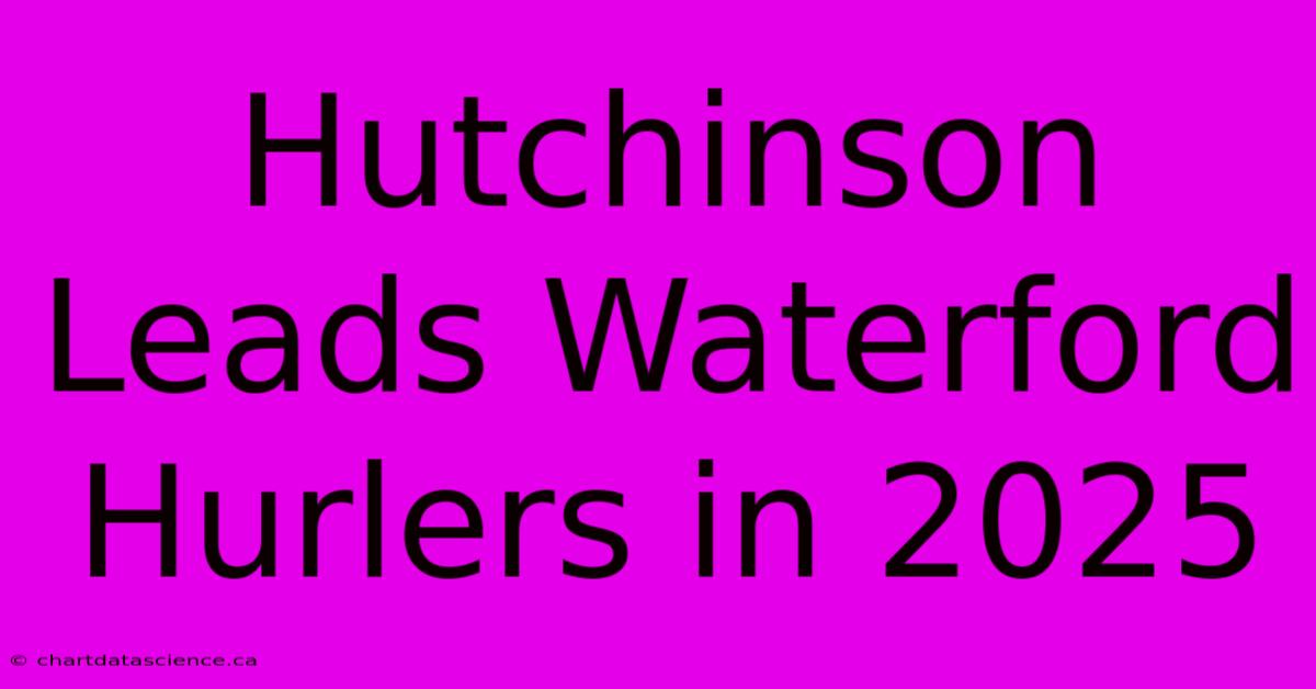 Hutchinson Leads Waterford Hurlers In 2025