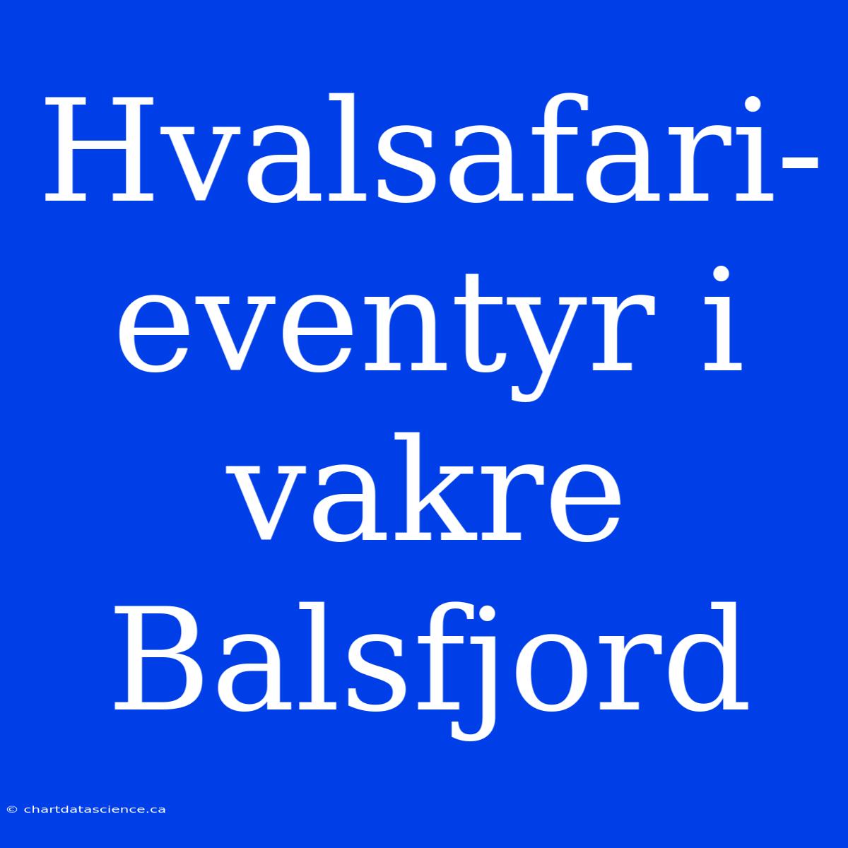 Hvalsafari-eventyr I Vakre Balsfjord