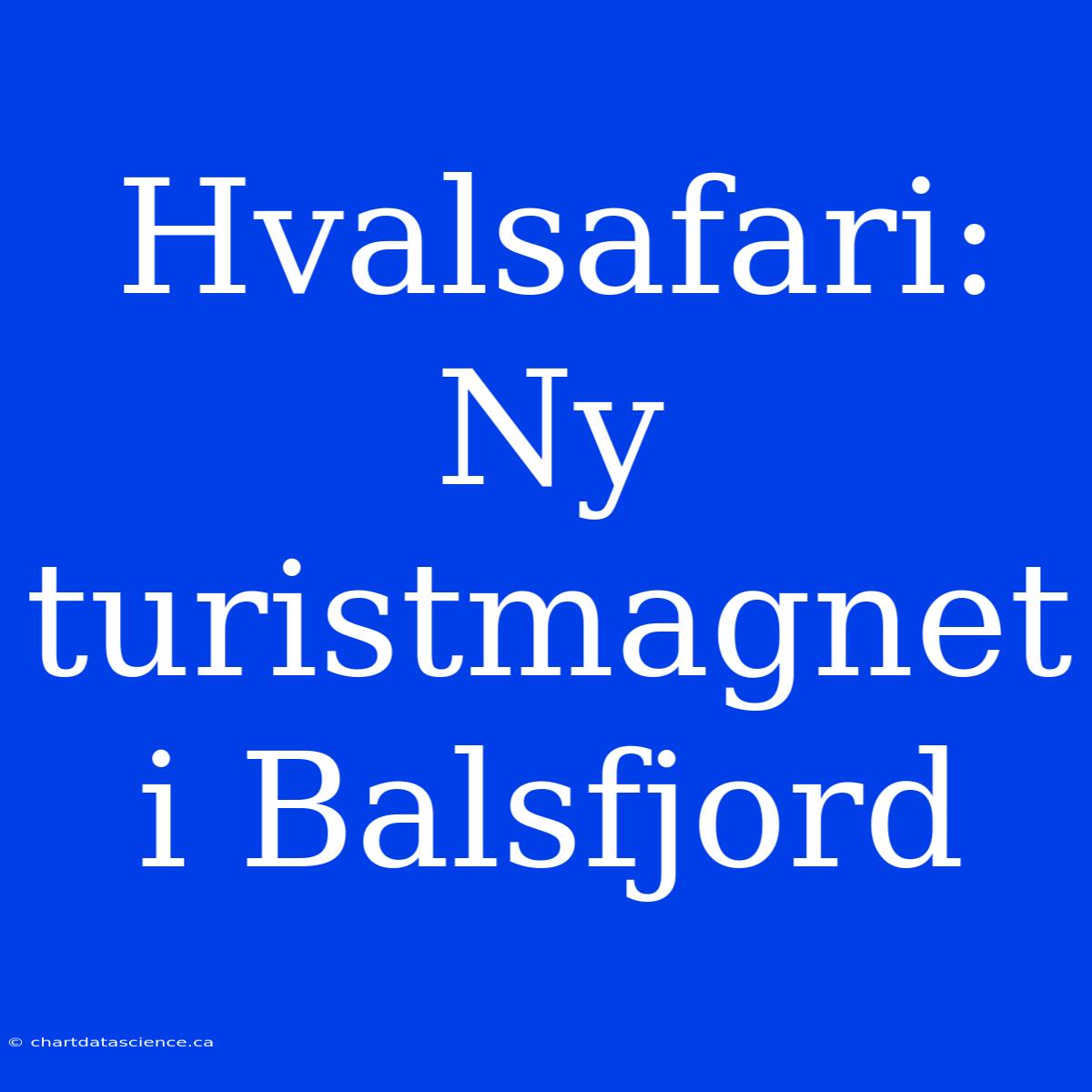 Hvalsafari: Ny Turistmagnet I Balsfjord