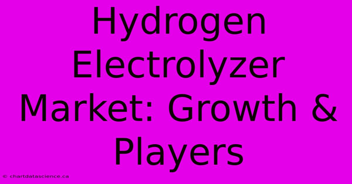 Hydrogen Electrolyzer Market: Growth & Players