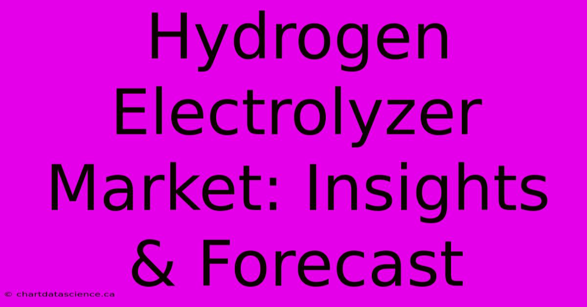 Hydrogen Electrolyzer Market: Insights & Forecast 