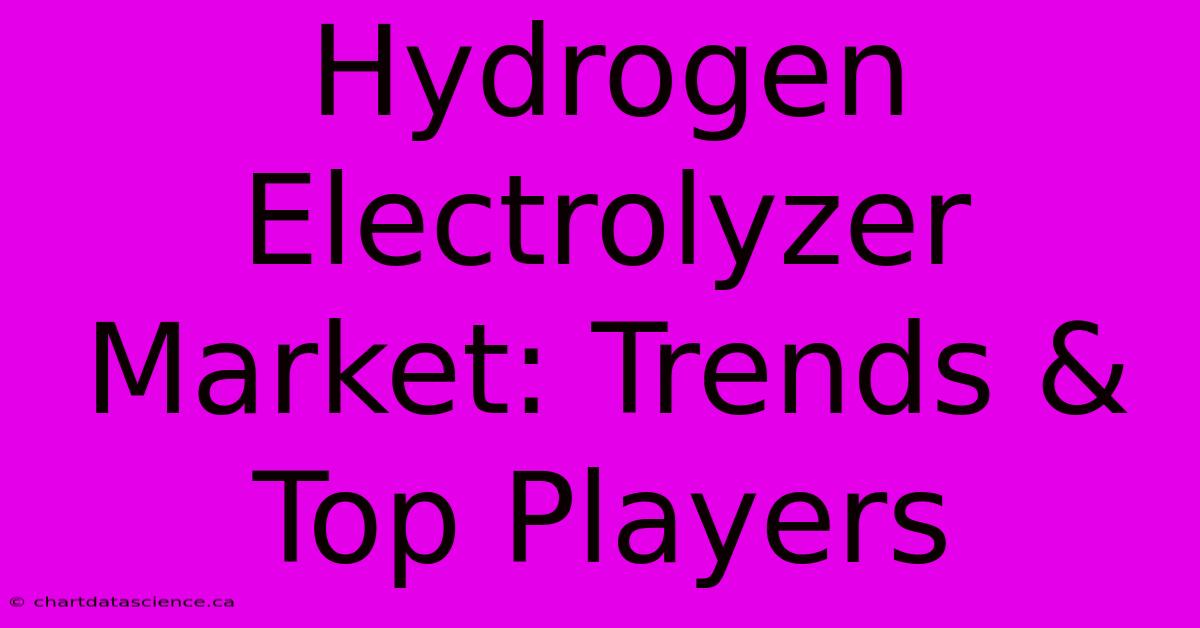 Hydrogen Electrolyzer Market: Trends & Top Players