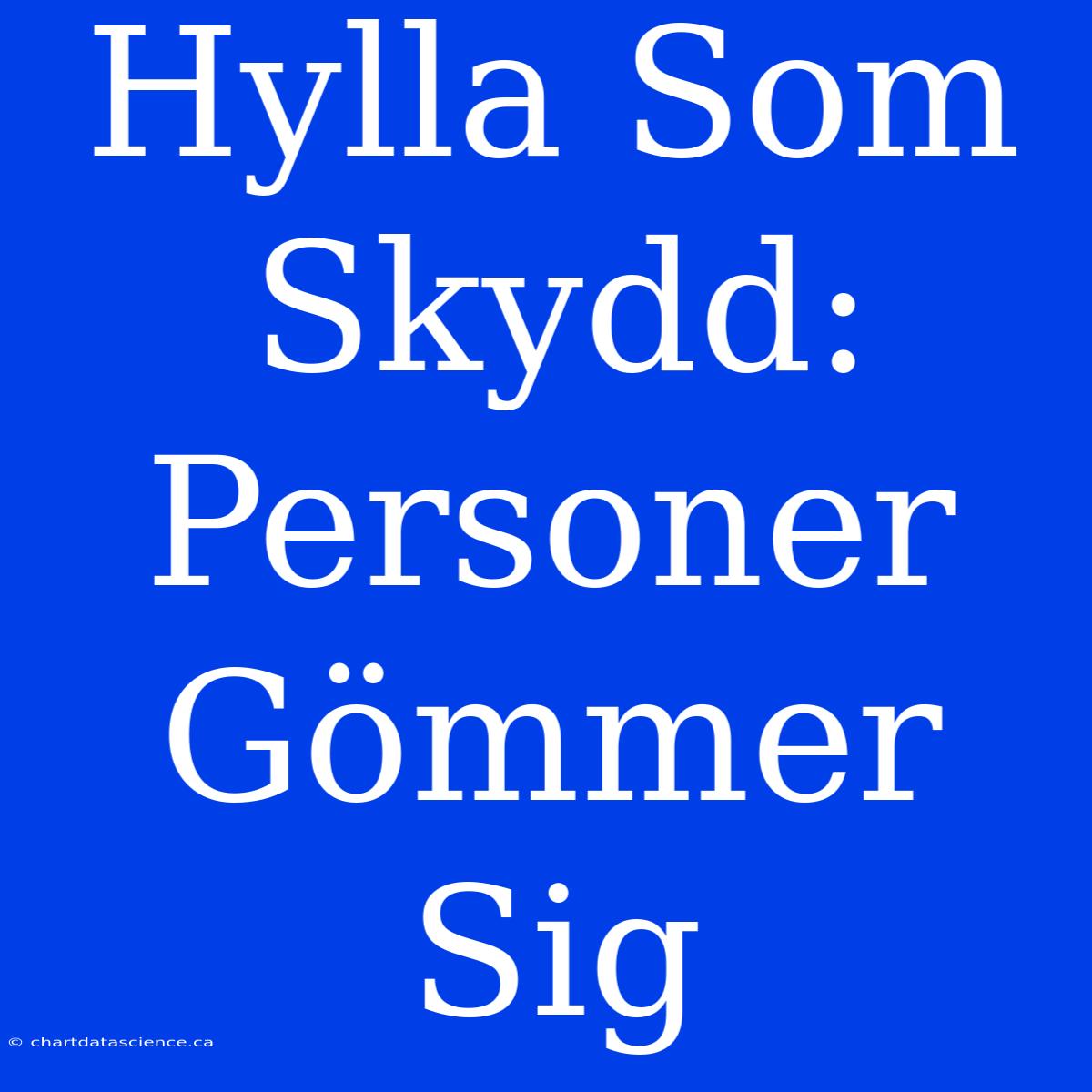 Hylla Som Skydd: Personer Gömmer Sig