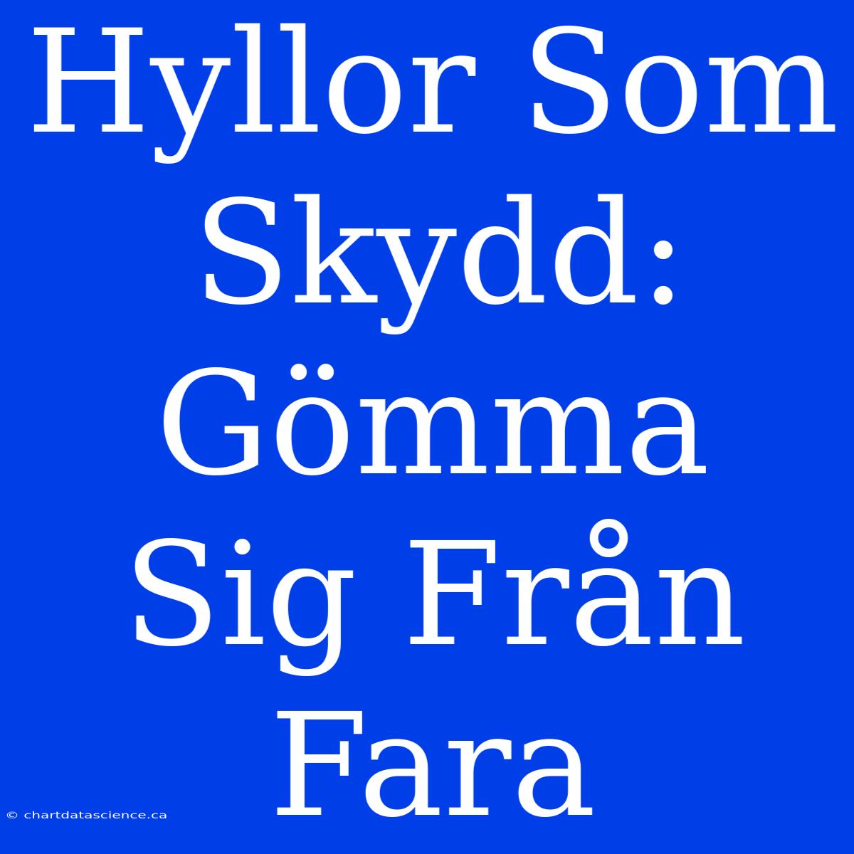 Hyllor Som Skydd: Gömma Sig Från Fara