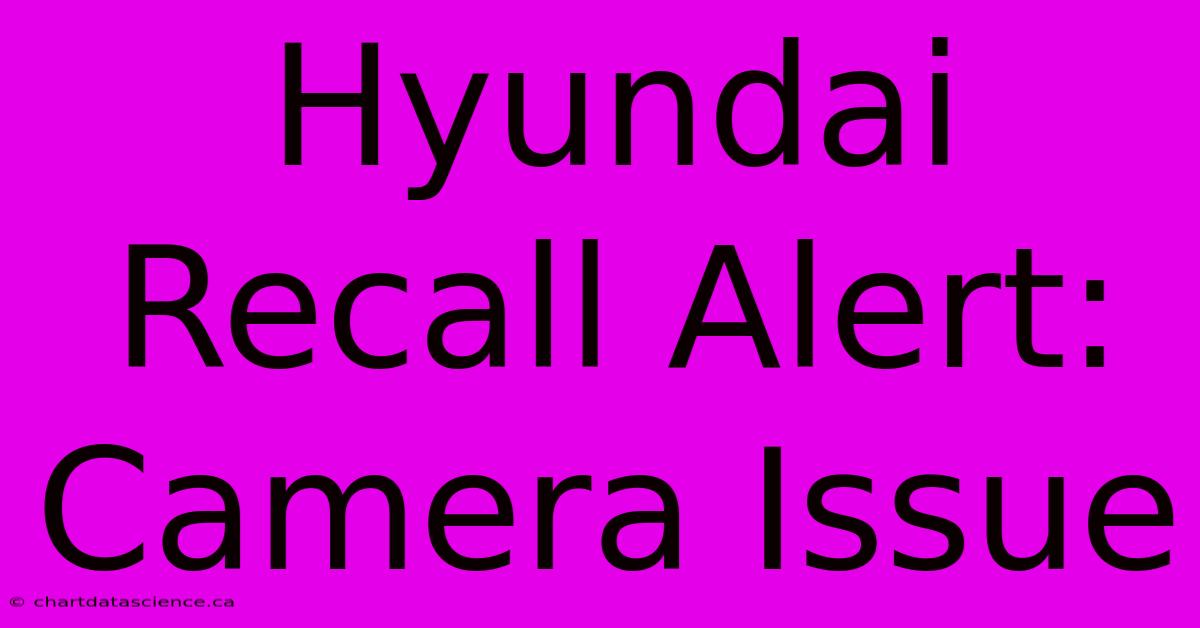 Hyundai Recall Alert: Camera Issue