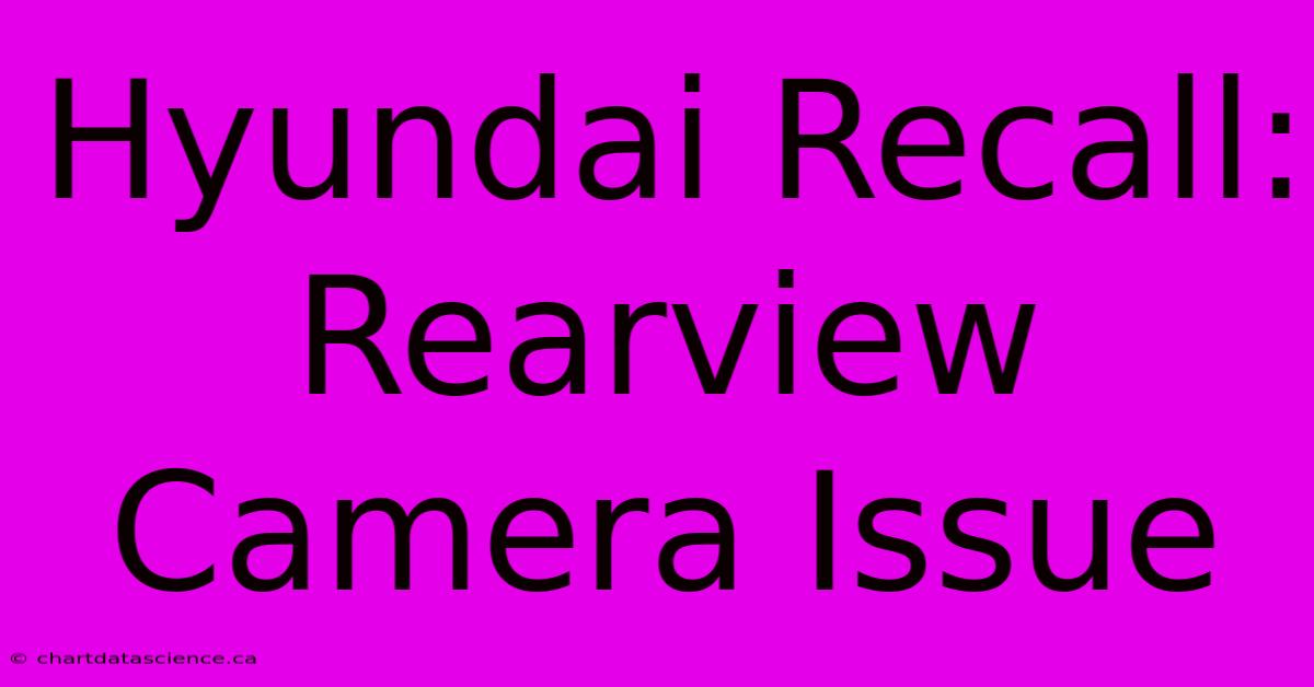 Hyundai Recall: Rearview Camera Issue