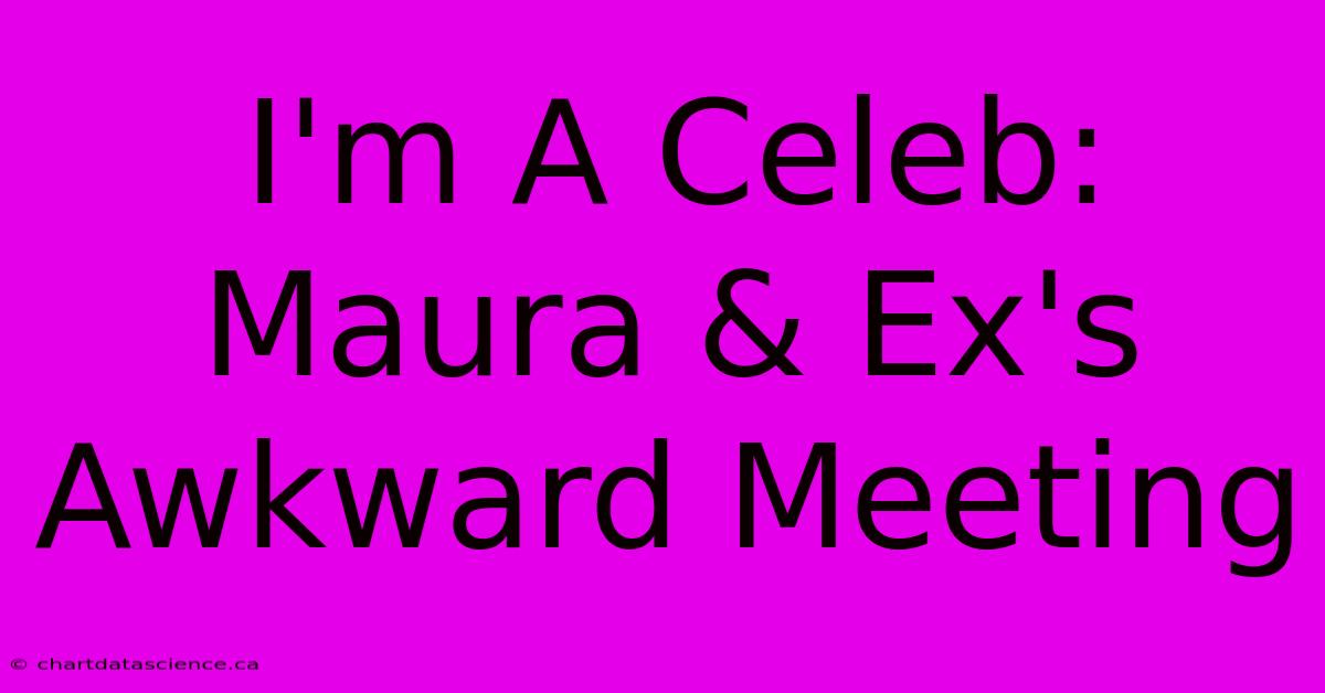 I'm A Celeb: Maura & Ex's Awkward Meeting