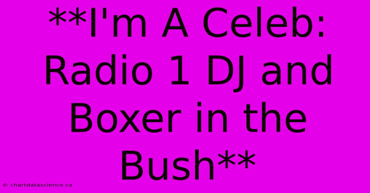 **I'm A Celeb:  Radio 1 DJ And Boxer In The Bush** 