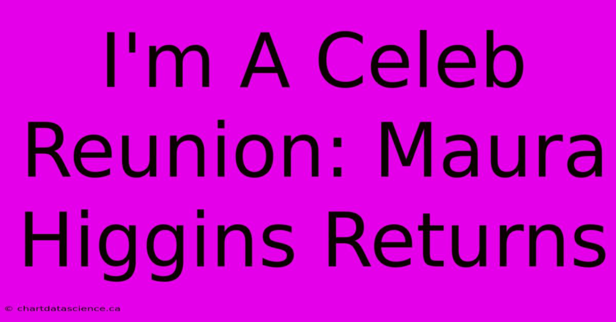 I'm A Celeb Reunion: Maura Higgins Returns 