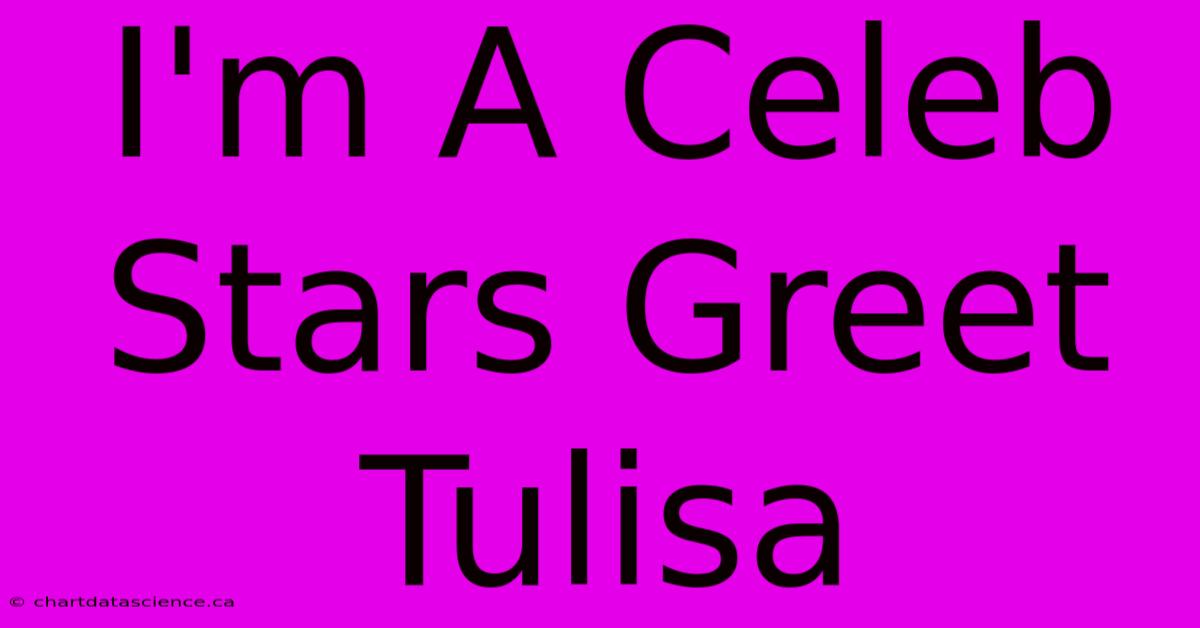 I'm A Celeb Stars Greet Tulisa