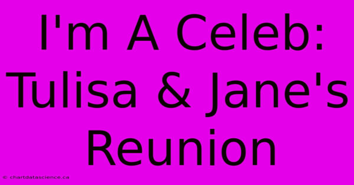 I'm A Celeb: Tulisa & Jane's Reunion