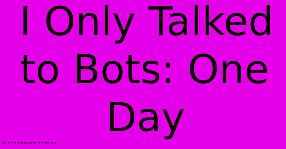 I Only Talked To Bots: One Day