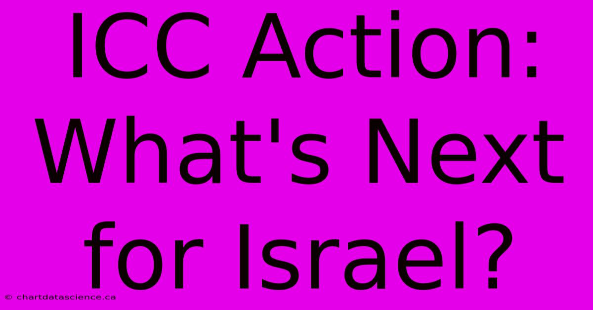 ICC Action: What's Next For Israel?