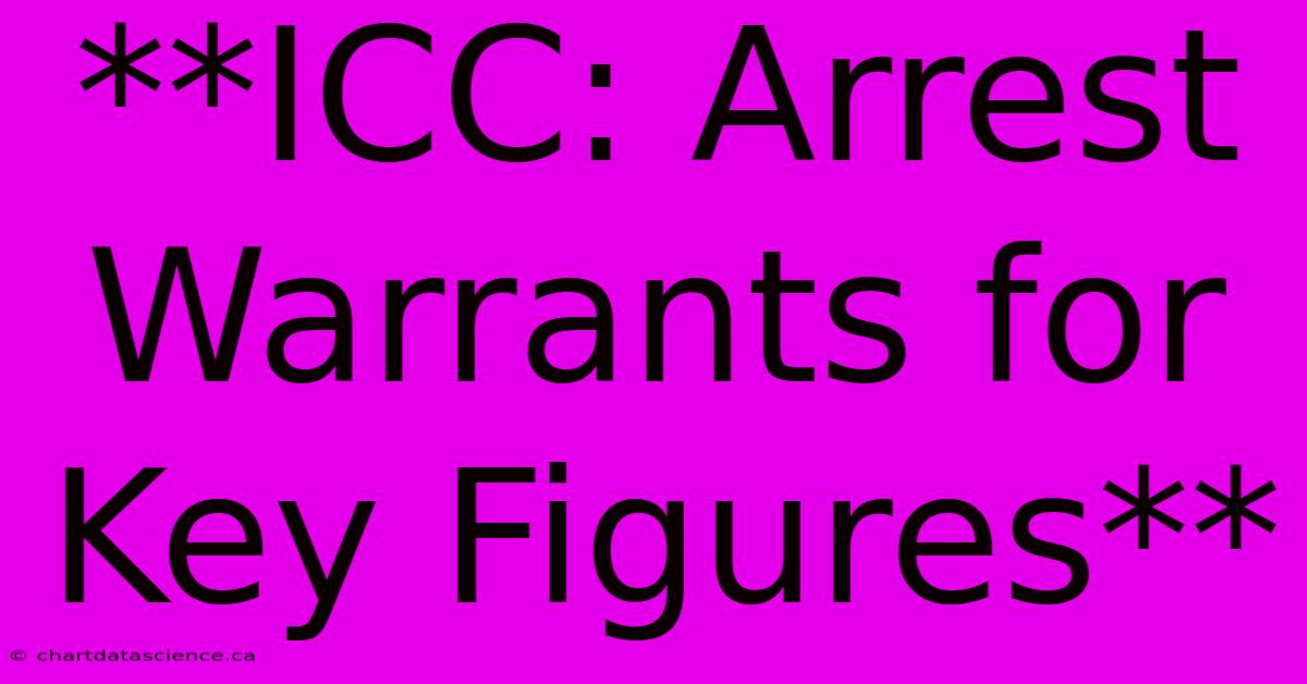 **ICC: Arrest Warrants For Key Figures**