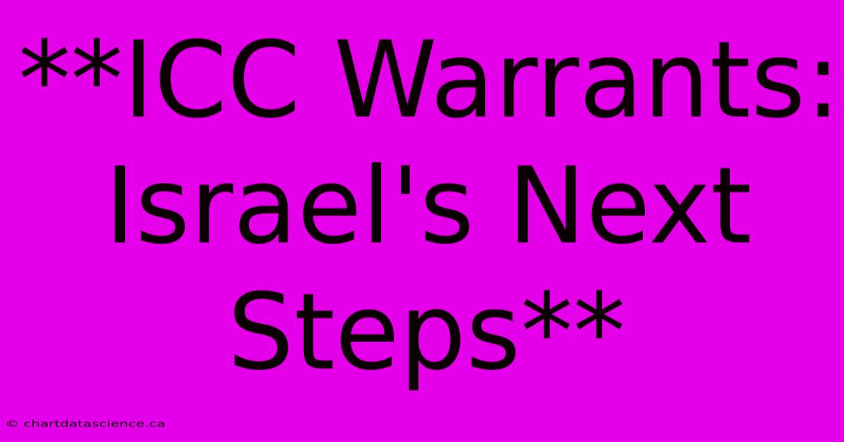 **ICC Warrants: Israel's Next Steps**