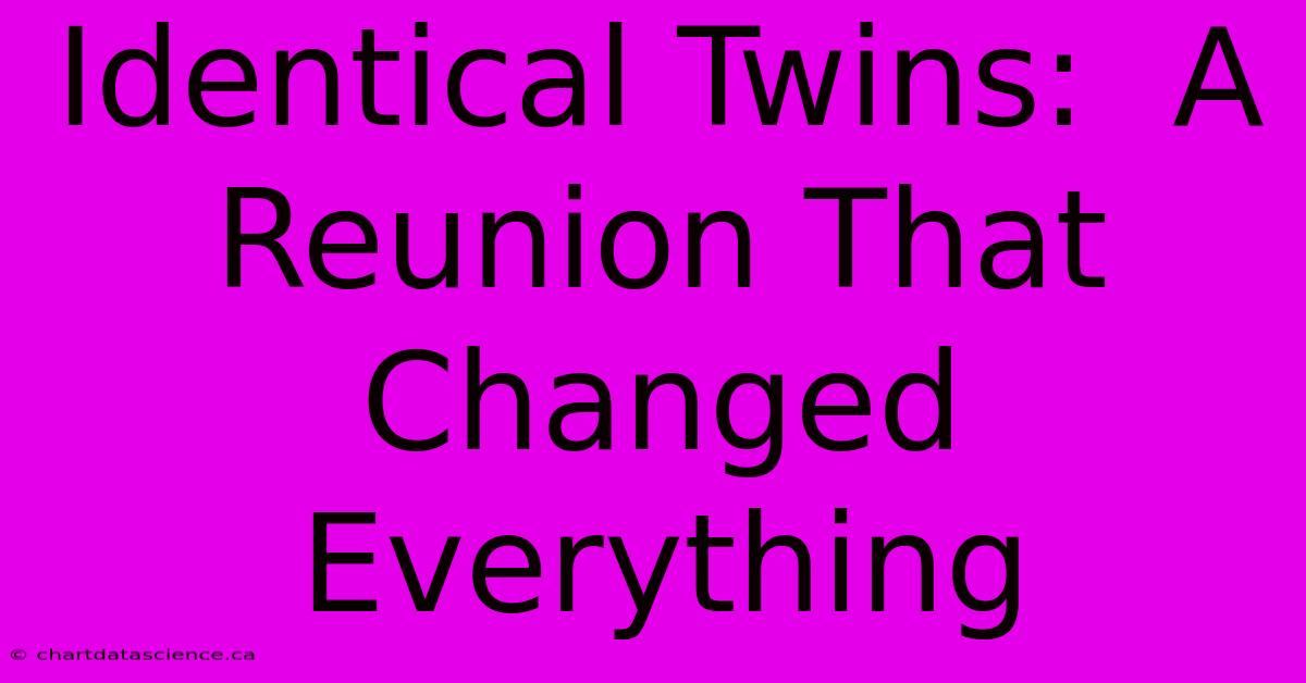 Identical Twins:  A Reunion That Changed Everything