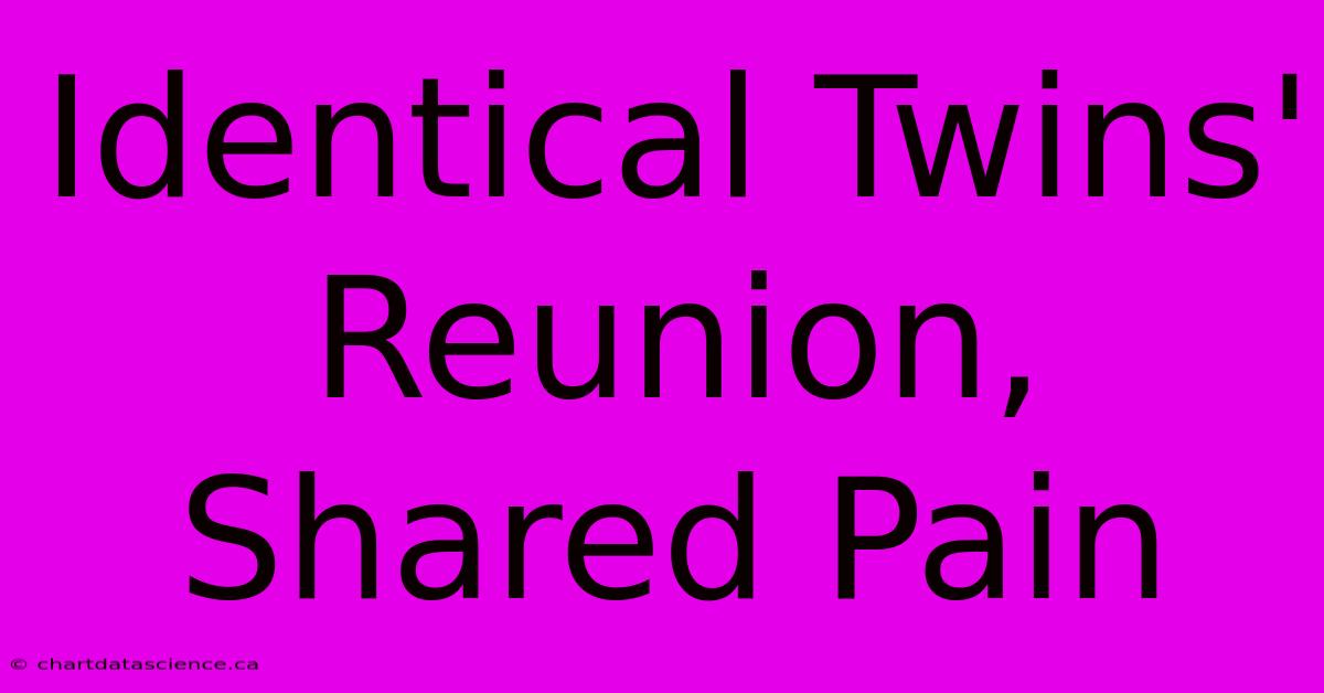 Identical Twins' Reunion,  Shared Pain