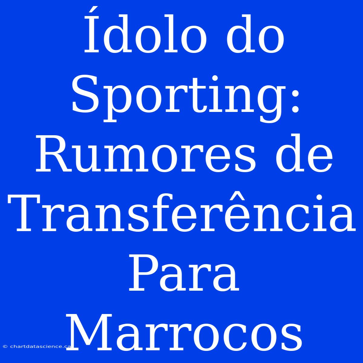 Ídolo Do Sporting: Rumores De Transferência Para Marrocos