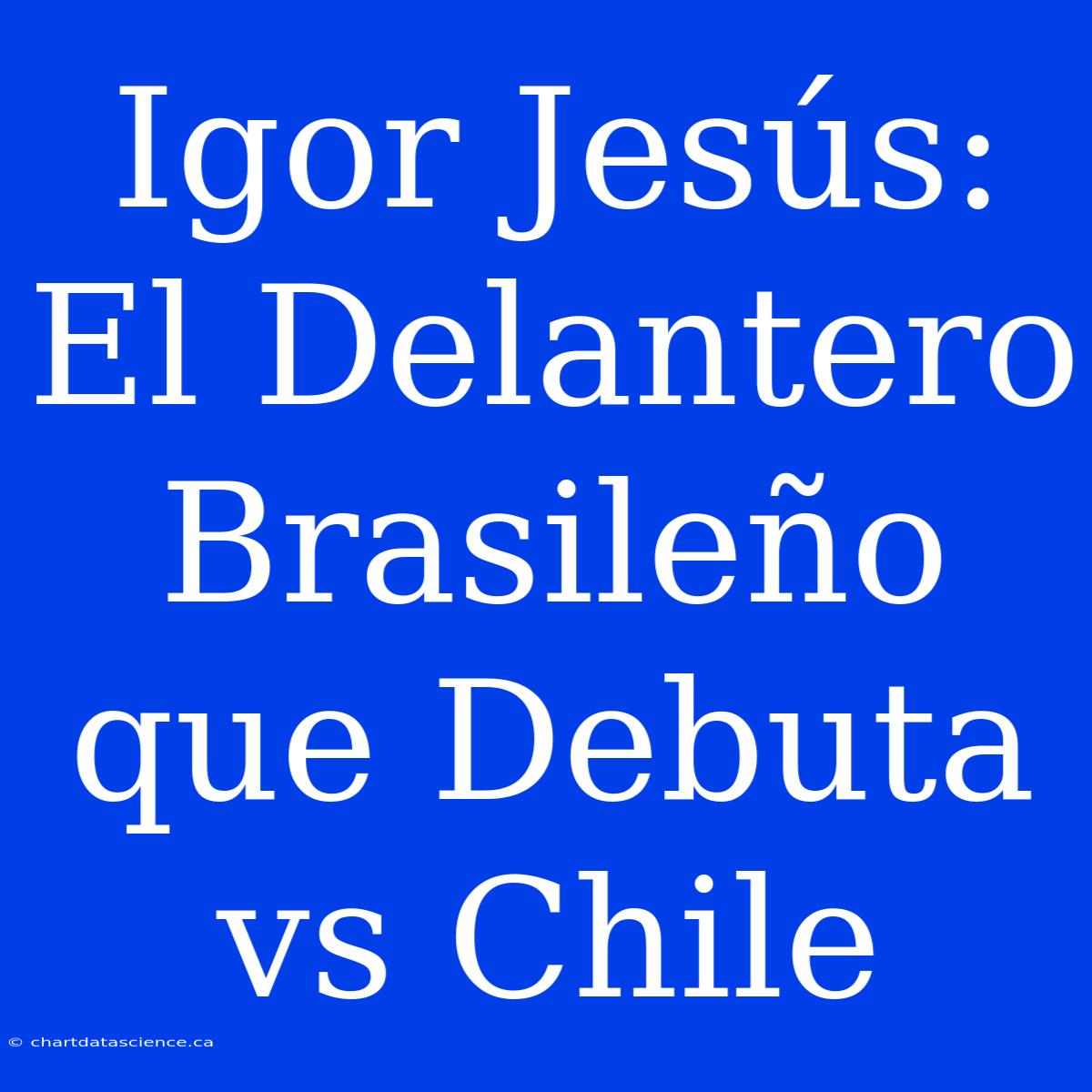 Igor Jesús: El Delantero Brasileño Que Debuta Vs Chile