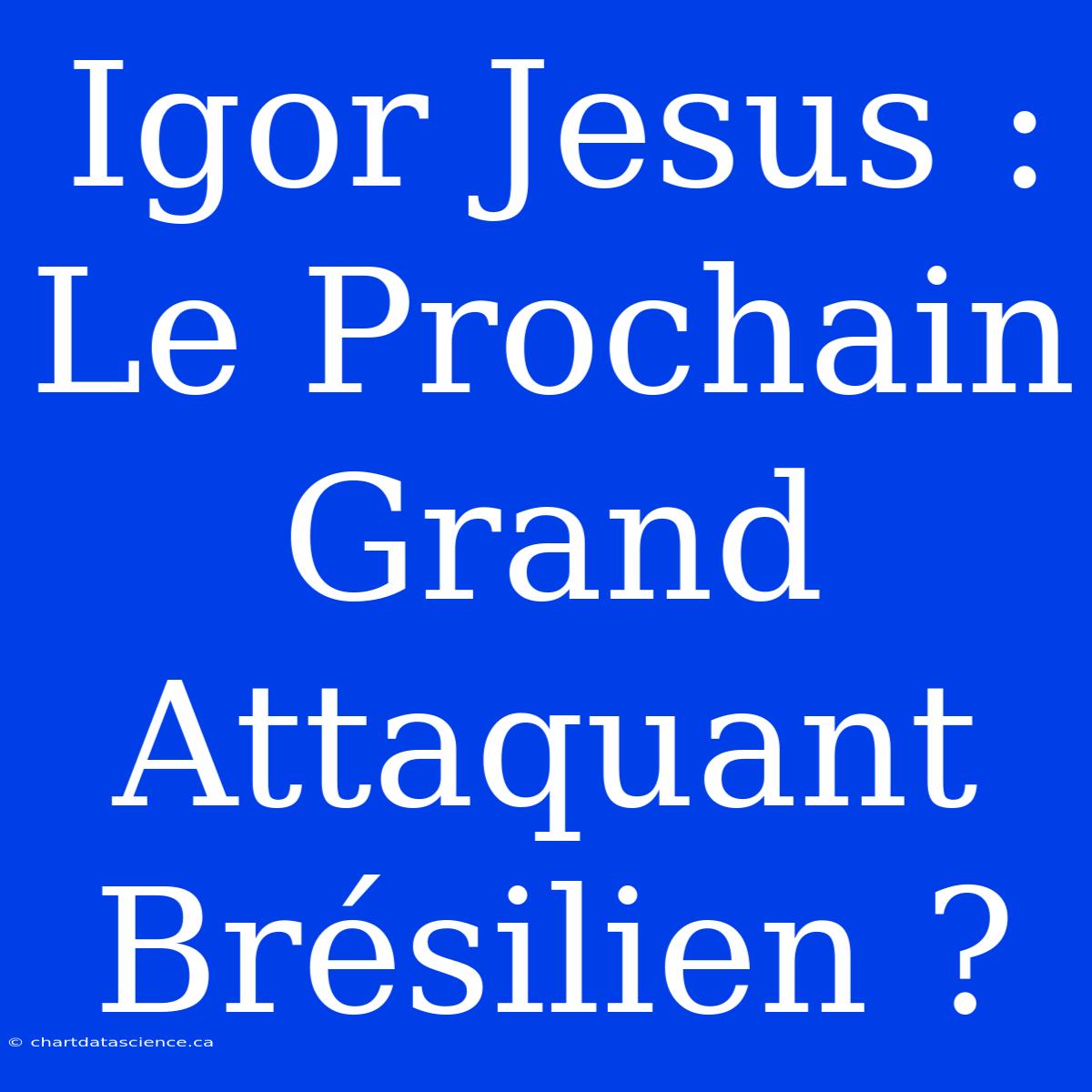 Igor Jesus : Le Prochain Grand Attaquant Brésilien ?