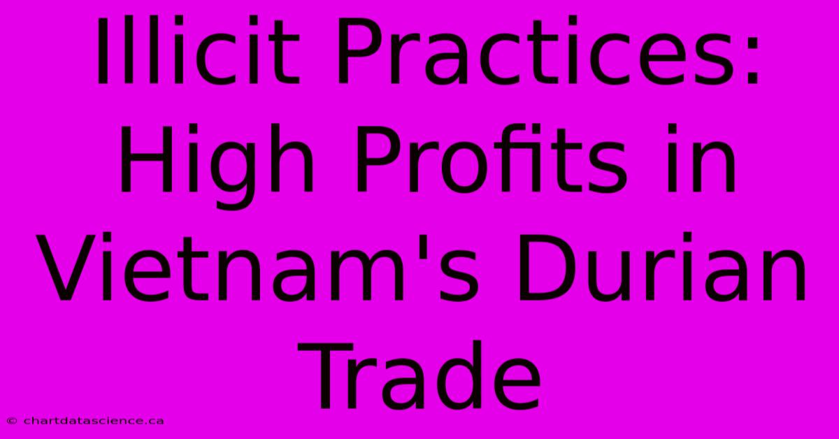 Illicit Practices: High Profits In Vietnam's Durian Trade