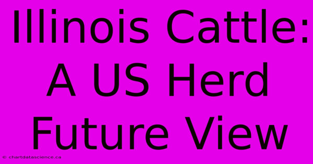 Illinois Cattle: A US Herd Future View